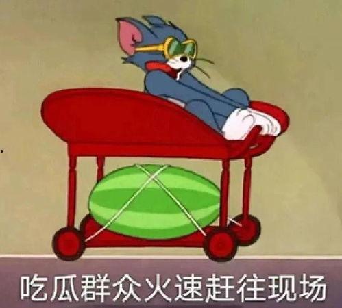 吃瓜爆料卫生间,卫生间里的惊人秘密