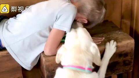 心机狗吃瓜文案,笑料百出！