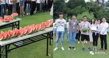 吃瓜比赛的队名,揭秘吃瓜比赛队名背后的故事与激情