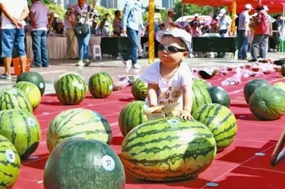 西瓜怎么吃瓜比赛,创意吃瓜技巧大比拼