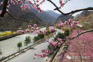 文县文昌宫吃瓜,夏日吃瓜，品味古韵时光