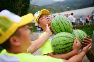 live现场吃瓜,揭秘直播幕后那些事儿