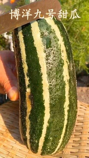 最近没怎么吃瓜