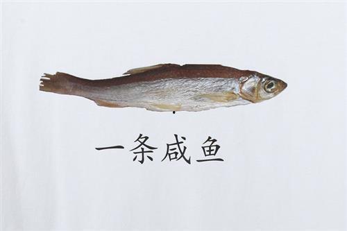 古言咸鱼吃瓜,笑谈红尘事